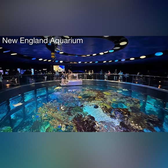 🇺🇸🚂 2/9 Massachusetts Monday 🚂🇺🇸 Post SB 🏈 Sales All! Congrats! 🎊 - Picture 8 of 16